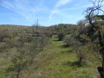 Land for sale in the Oria area